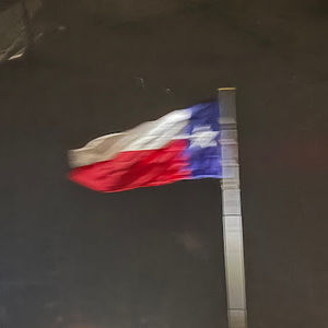 Meet your Posher, Izzy